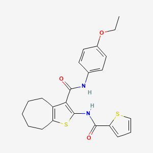 molecular formula C23H24N2O3S2 B4933461 N-{3-[(4-Ethoxyphenyl)carbamoyl]-4H,5H,6H,7H,8H-cyclohepta[B]thiophen-2-YL}thiophene-2-carboxamide 