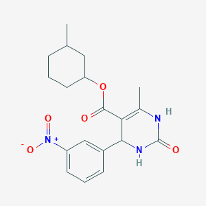 molecular formula C19H23N3O5 B4935545 (3-methylcyclohexyl) 6-methyl-4-(3-nitrophenyl)-2-oxo-3,4-dihydro-1H-pyrimidine-5-carboxylate 
