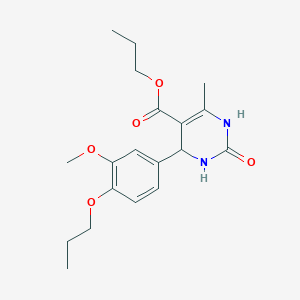 molecular formula C19H26N2O5 B4936755 Propyl 4-(3-methoxy-4-propoxyphenyl)-6-methyl-2-oxo-1,2,3,4-tetrahydropyrimidine-5-carboxylate 