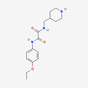 molecular formula C16H23N3O3 B4942159 N'-(4-ethoxyphenyl)-N-(piperidin-4-ylmethyl)oxamide 
