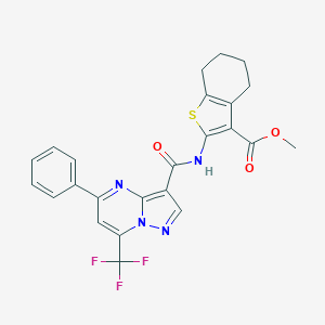 molecular formula C24H19F3N4O3S B494385 Methyl 2-({[5-phenyl-7-(trifluoromethyl)pyrazolo[1,5-a]pyrimidin-3-yl]carbonyl}amino)-4,5,6,7-tetrahydro-1-benzothiophene-3-carboxylate 