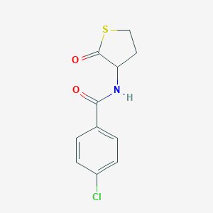 4-chloro-N-(2-oxothiolan-3-yl)benzamide