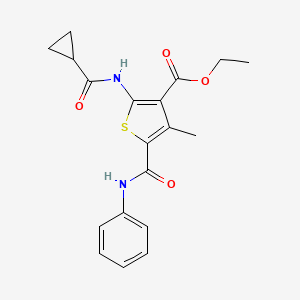 molecular formula C19H20N2O4S B4944407 ETHYL 2-CYCLOPROPANEAMIDO-4-METHYL-5-(PHENYLCARBAMOYL)THIOPHENE-3-CARBOXYLATE 