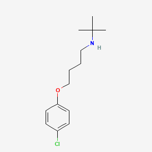 molecular formula C14H22ClNO B4945958 N-tert-butyl-4-(4-chlorophenoxy)butan-1-amine 