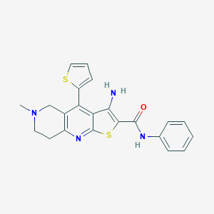 3-amino-6-methyl-N-phenyl-4-(thiophen-2-yl)-5H,6H,7H,8H-thieno[2,3-b]1,6-naphthyridine-2-carboxamide