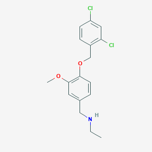 N-{4-[(2,4-dichlorobenzyl)oxy]-3-methoxybenzyl}-N-ethylamine