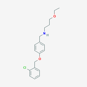 N-{4-[(2-chlorobenzyl)oxy]benzyl}-N-(3-ethoxypropyl)amine