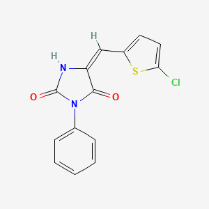 molecular formula C14H9ClN2O2S B4947160 (5E)-5-[(5-chlorothiophen-2-yl)methylidene]-3-phenylimidazolidine-2,4-dione 
