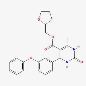 molecular formula C23H24N2O5 B4947348 Tetrahydrofuran-2-ylmethyl 6-methyl-2-oxo-4-(3-phenoxyphenyl)-1,2,3,4-tetrahydropyrimidine-5-carboxylate 