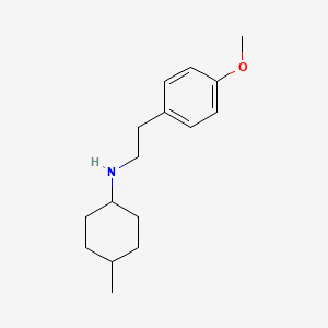 molecular formula C16H25NO B4963658 N-[2-(4-methoxyphenyl)ethyl]-4-methylcyclohexan-1-amine 