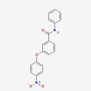 molecular formula C19H14N2O4 B4965872 3-(4-nitrophenoxy)-N-phenylbenzamide 