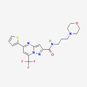 molecular formula C19H20F3N5O2S B4968359 N-[3-(morpholin-4-yl)propyl]-5-(thiophen-2-yl)-7-(trifluoromethyl)pyrazolo[1,5-a]pyrimidine-2-carboxamide 
