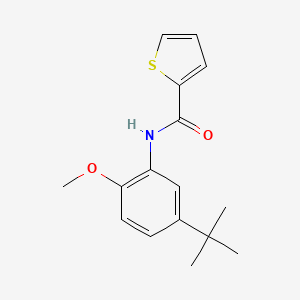 molecular formula C16H19NO2S B4973621 N-(5-tert-butyl-2-methoxyphenyl)thiophene-2-carboxamide 