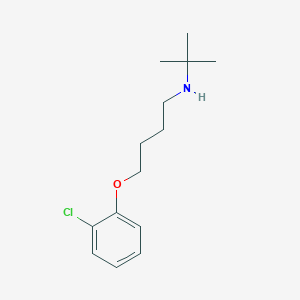 molecular formula C14H22ClNO B4978251 N-tert-butyl-4-(2-chlorophenoxy)butan-1-amine 