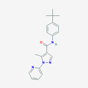 molecular formula C20H22N4O B498054 N-(4-tert-butylphenyl)-5-methyl-1-(2-pyridinyl)-1H-pyrazole-4-carboxamide 