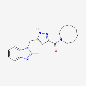 molecular formula C20H25N5O B4983813 azocan-1-yl-[5-[(2-methylbenzimidazol-1-yl)methyl]-1H-pyrazol-3-yl]methanone 