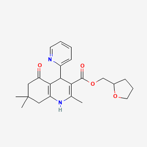 molecular formula C23H28N2O4 B4987488 Tetrahydrofuran-2-ylmethyl 2,7,7-trimethyl-5-oxo-4-(pyridin-2-yl)-1,4,5,6,7,8-hexahydroquinoline-3-carboxylate 