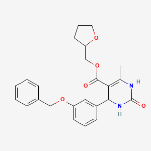 molecular formula C24H26N2O5 B4994466 Tetrahydrofuran-2-ylmethyl 4-[3-(benzyloxy)phenyl]-6-methyl-2-oxo-1,2,3,4-tetrahydropyrimidine-5-carboxylate 