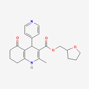 molecular formula C21H24N2O4 B4995397 (OXOLAN-2-YL)METHYL 2-METHYL-5-OXO-4-(PYRIDIN-4-YL)-1,4,5,6,7,8-HEXAHYDROQUINOLINE-3-CARBOXYLATE 