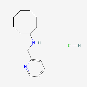 molecular formula C14H23ClN2 B4996780 N-(2-pyridinylmethyl)cyclooctanamine hydrochloride 