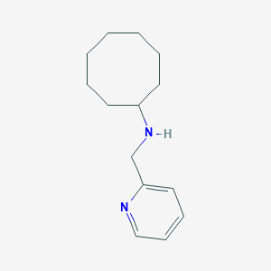 molecular formula C14H22N2 B499872 N-(pyridin-2-ylmethyl)cyclooctanamine 