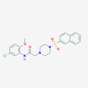 molecular formula C23H24ClN3O4S B500347 N-(5-chloro-2-methoxyphenyl)-2-[4-(2-naphthylsulfonyl)piperazinyl]acetamide CAS No. 877987-97-8