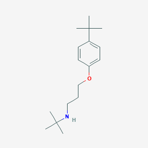 molecular formula C17H29NO B5016265 N-[3-(4-tert-butylphenoxy)propyl]-2-methylpropan-2-amine 