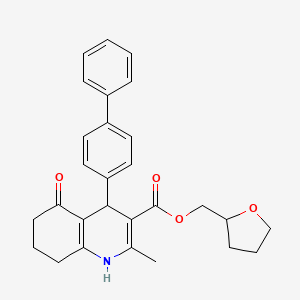 molecular formula C28H29NO4 B5017504 Tetrahydrofuran-2-ylmethyl 4-(biphenyl-4-yl)-2-methyl-5-oxo-1,4,5,6,7,8-hexahydroquinoline-3-carboxylate 