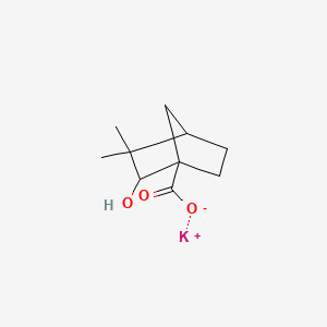 molecular formula C10H15KO3 B5020230 potassium;2-hydroxy-3,3-dimethylbicyclo[2.2.1]heptane-1-carboxylate 