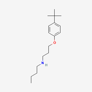 molecular formula C17H29NO B5024504 N-[3-(4-tert-butylphenoxy)propyl]butan-1-amine 