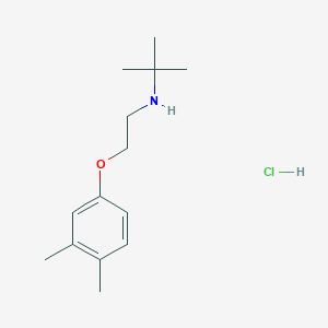molecular formula C14H24ClNO B5027906 N-[2-(3,4-dimethylphenoxy)ethyl]-2-methylpropan-2-amine;hydrochloride 