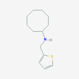 molecular formula C13H21NS B503907 N-(thiophen-2-ylmethyl)cyclooctanamine CAS No. 880813-65-0