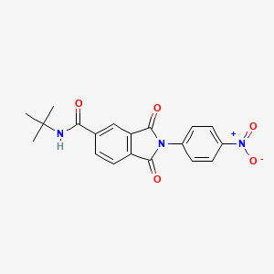 molecular formula C19H17N3O5 B5039635 N-tert-butyl-2-(4-nitrophenyl)-1,3-dioxoisoindole-5-carboxamide 