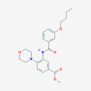 molecular formula C23H28N2O5 B504698 Methyl 3-[(3-butoxybenzoyl)amino]-4-(4-morpholinyl)benzoate 