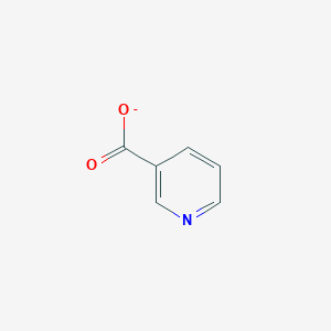 molecular formula C6H4NO2- B505614 Nicotinate 