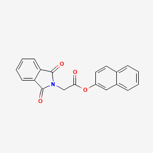 molecular formula C20H13NO4 B5057148 NAPHTHALEN-2-YL 2-(1,3-DIOXO-2,3-DIHYDRO-1H-ISOINDOL-2-YL)ACETATE 