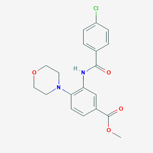 molecular formula C19H19ClN2O4 B505792 Methyl 3-[(4-chlorobenzoyl)amino]-4-(4-morpholinyl)benzoate CAS No. 895092-87-2