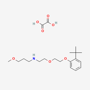 molecular formula C20H33NO7 B5061622 N-[2-[2-(2-tert-butylphenoxy)ethoxy]ethyl]-3-methoxypropan-1-amine;oxalic acid 