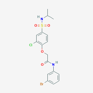 molecular formula C17H18BrClN2O4S B5063605 N-(3-bromophenyl)-2-[2-chloro-4-(propan-2-ylsulfamoyl)phenoxy]acetamide 