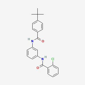 molecular formula C24H23ClN2O2 B5065652 N-[3-[(4-tert-butylbenzoyl)amino]phenyl]-2-chlorobenzamide 