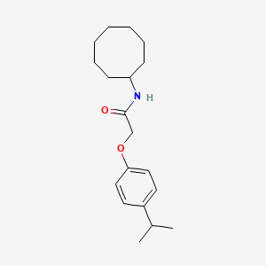 molecular formula C19H29NO2 B5068784 N-cyclooctyl-2-(4-propan-2-ylphenoxy)acetamide 