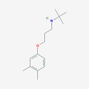 molecular formula C15H25NO B5069970 N-[3-(3,4-dimethylphenoxy)propyl]-2-methylpropan-2-amine 