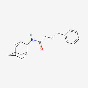 molecular formula C20H27NO B5079767 N-(2-adamantyl)-4-phenylbutanamide 