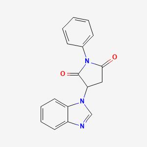 molecular formula C17H13N3O2 B5086723 3-(1H-benzimidazol-1-yl)-1-phenylpyrrolidine-2,5-dione 