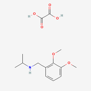 molecular formula C14H21NO6 B5087432 N-[(2,3-dimethoxyphenyl)methyl]propan-2-amine;oxalic acid 