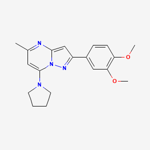 molecular formula C19H22N4O2 B5089388 1-[2-(3,4-Dimethoxyphenyl)-5-methylpyrazolo[1,5-a]pyrimidin-7-yl]pyrrolidine 