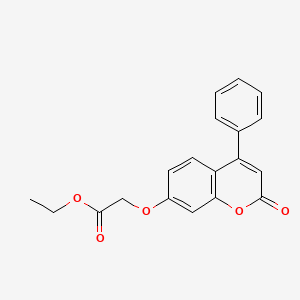 molecular formula C19H16O5 B5092426 ethyl 2-[(2-oxo-4-phenyl-2H-7-chromenyl)oxy]acetate 