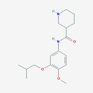 molecular formula C17H26N2O3 B5098627 N-[4-methoxy-3-(2-methylpropoxy)phenyl]piperidine-3-carboxamide 