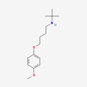 molecular formula C15H25NO2 B5108461 N-tert-butyl-4-(4-methoxyphenoxy)butan-1-amine 