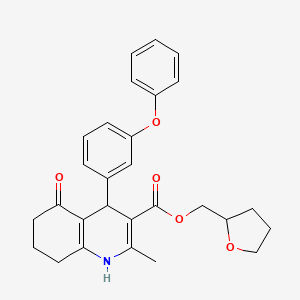 molecular formula C28H29NO5 B5118830 Tetrahydrofuran-2-ylmethyl 2-methyl-5-oxo-4-(3-phenoxyphenyl)-1,4,5,6,7,8-hexahydroquinoline-3-carboxylate 